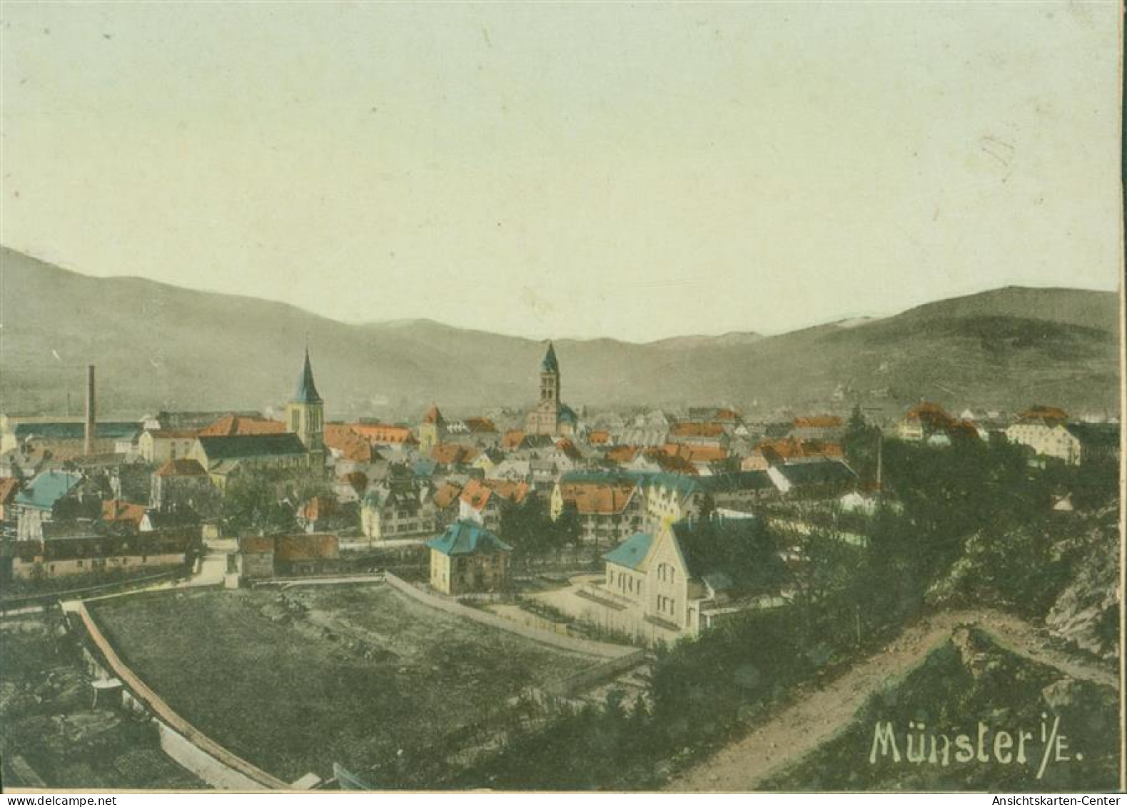 13814197 - Munster Muenster