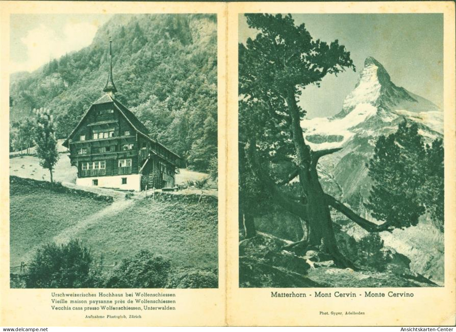 13814230 - Wolfenschiessen