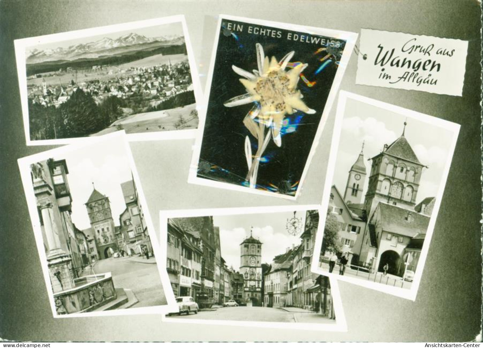 13815303 - Wangen im Allgaeu