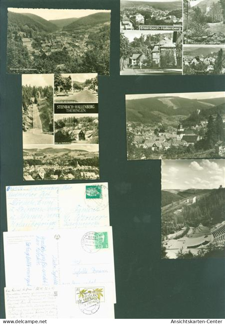 13821288 - Steinbach-Hallenberg