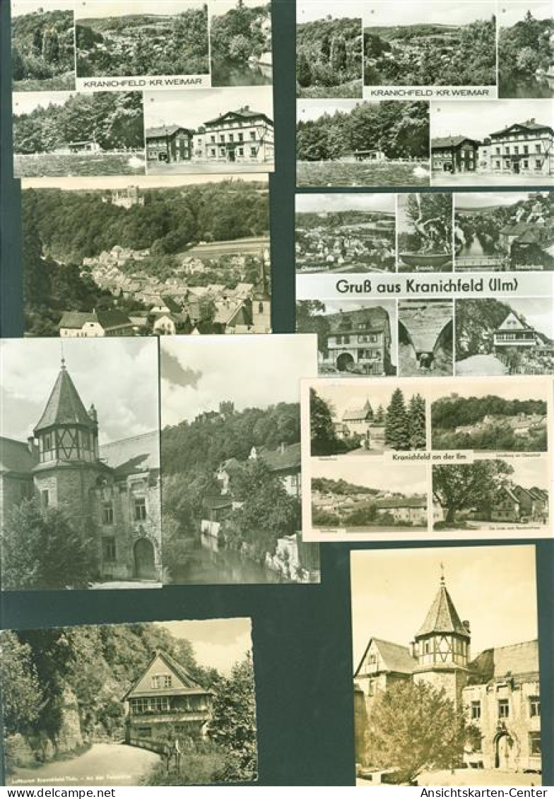 13821302 - Kranichfeld