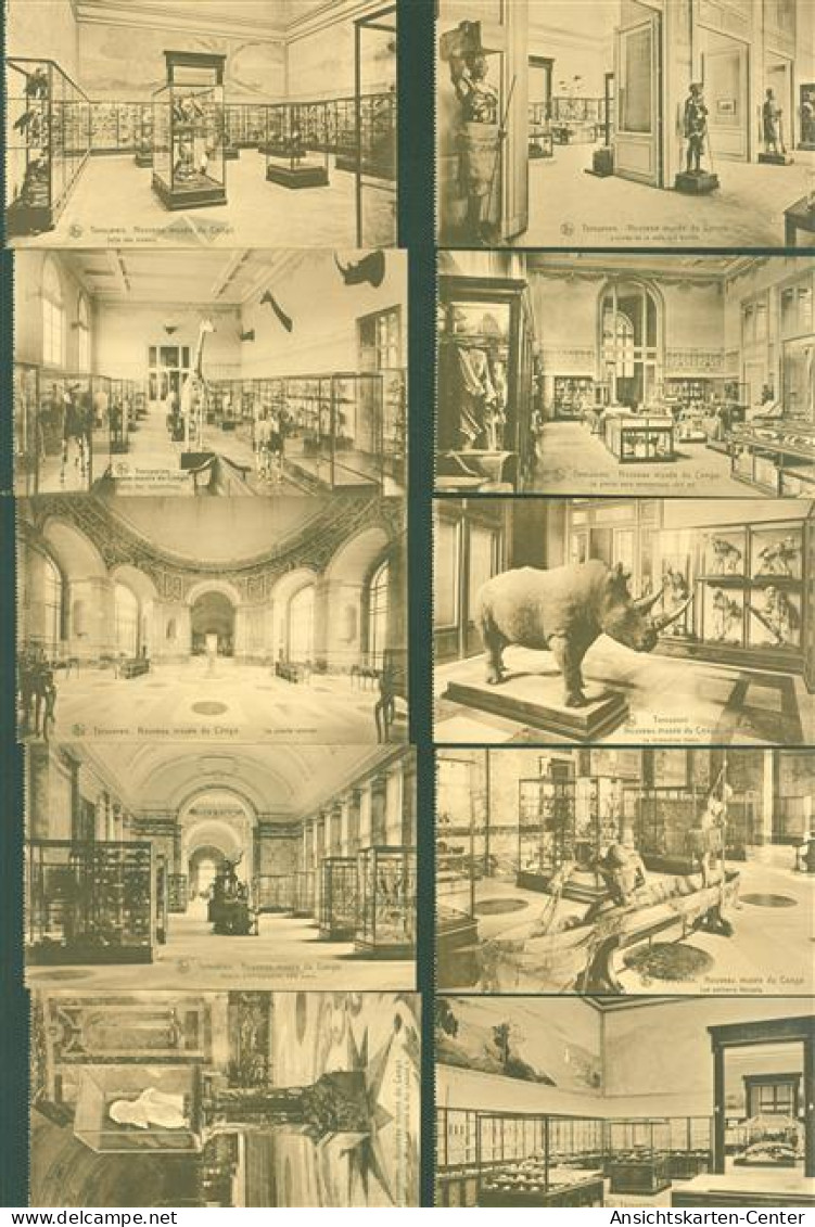 13824786 - Tervuren Tervueren