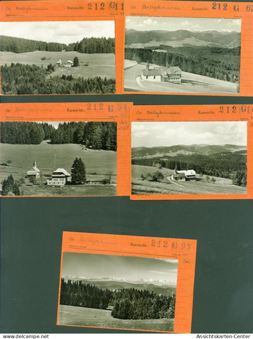 13825869 - Titisee Titisee-Neustadt