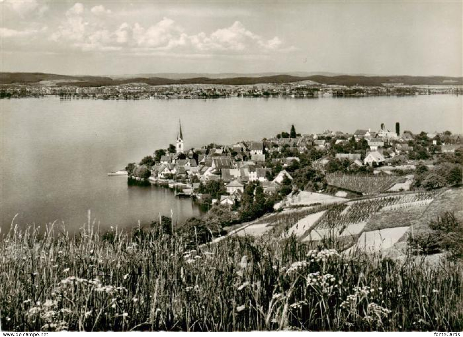 13875677 Berlingen Untersee mit Insel Reichenau