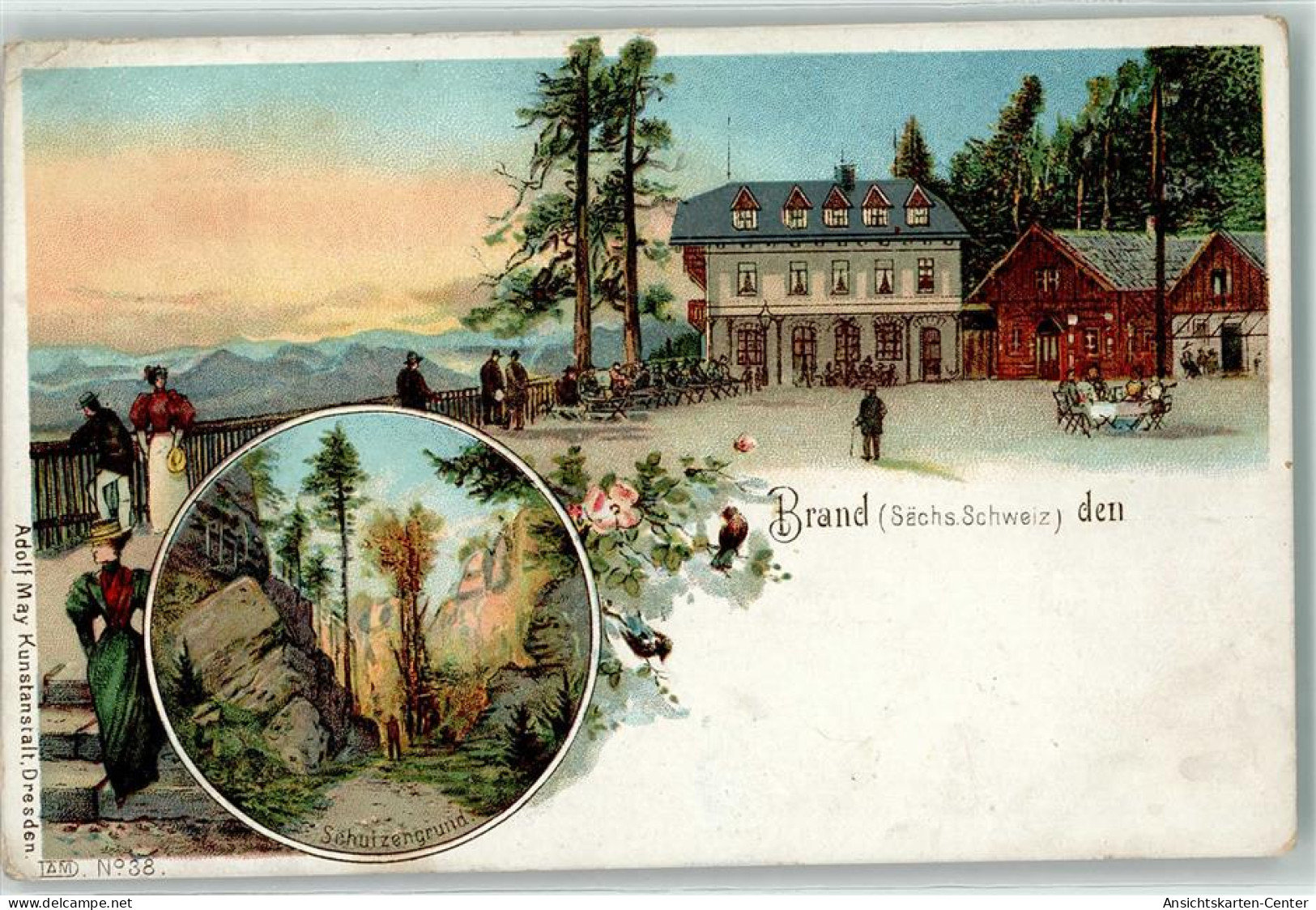 13901893 - Brand b Hohnstein, Saechs Schweiz