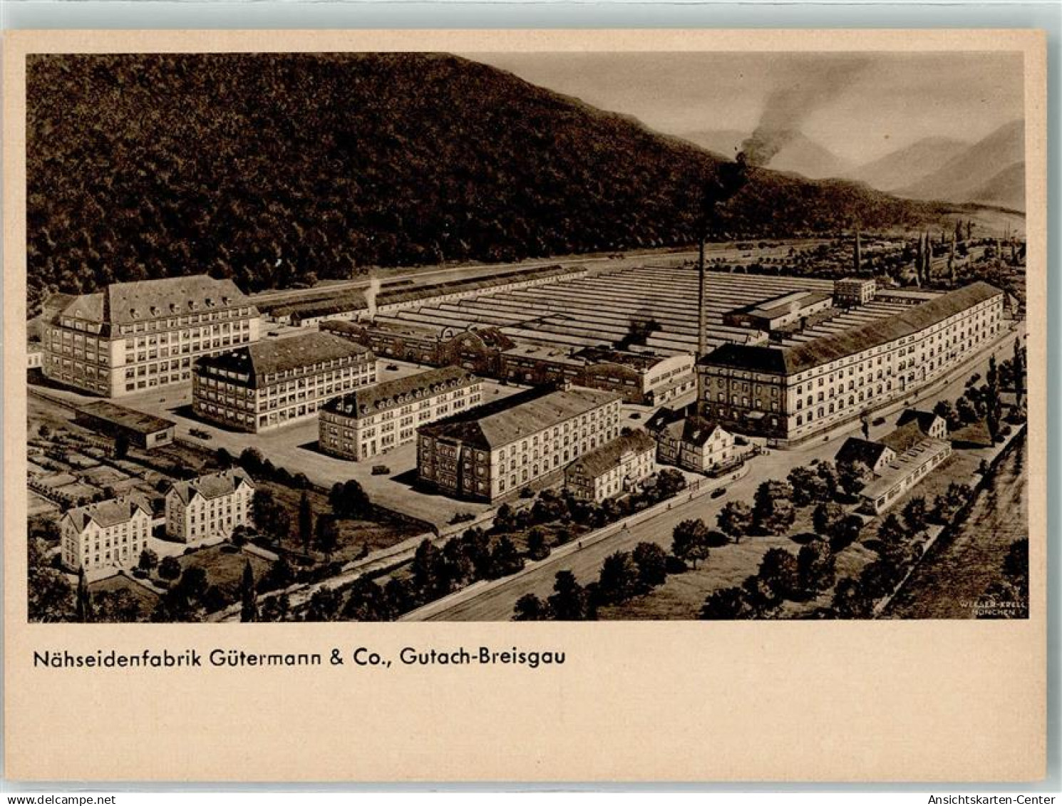 13911014 - Gutach im Breisgau