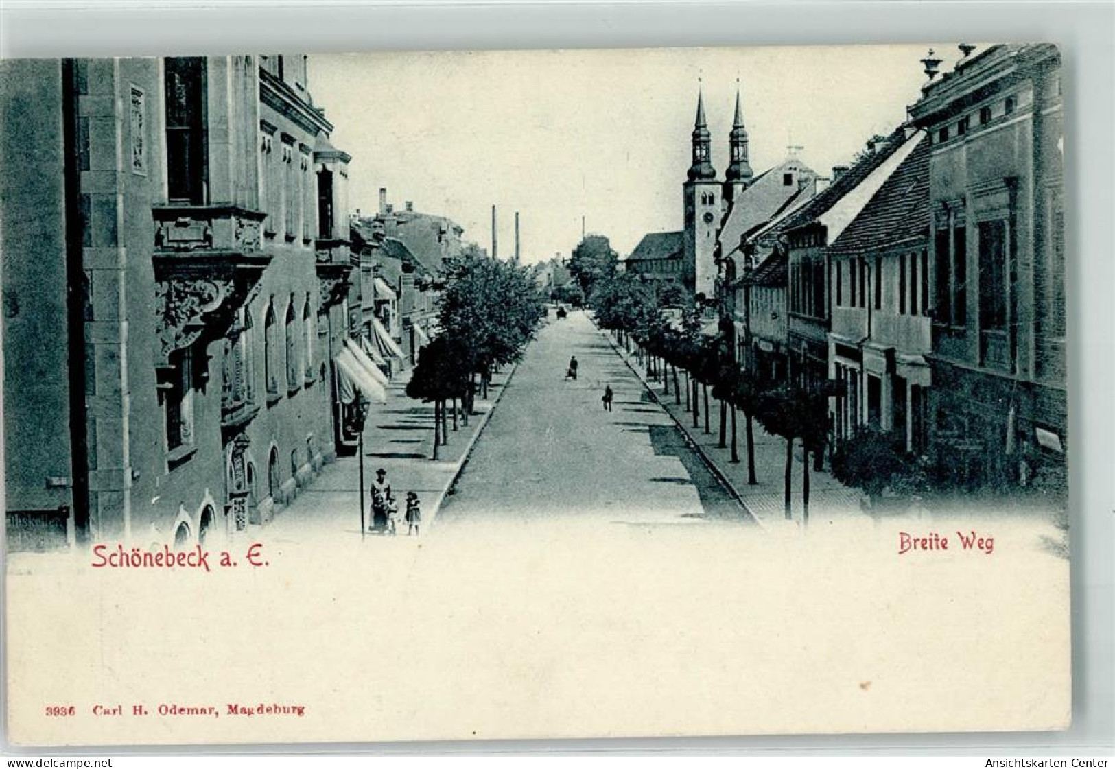 13923638 - Schoenebeck Elbe