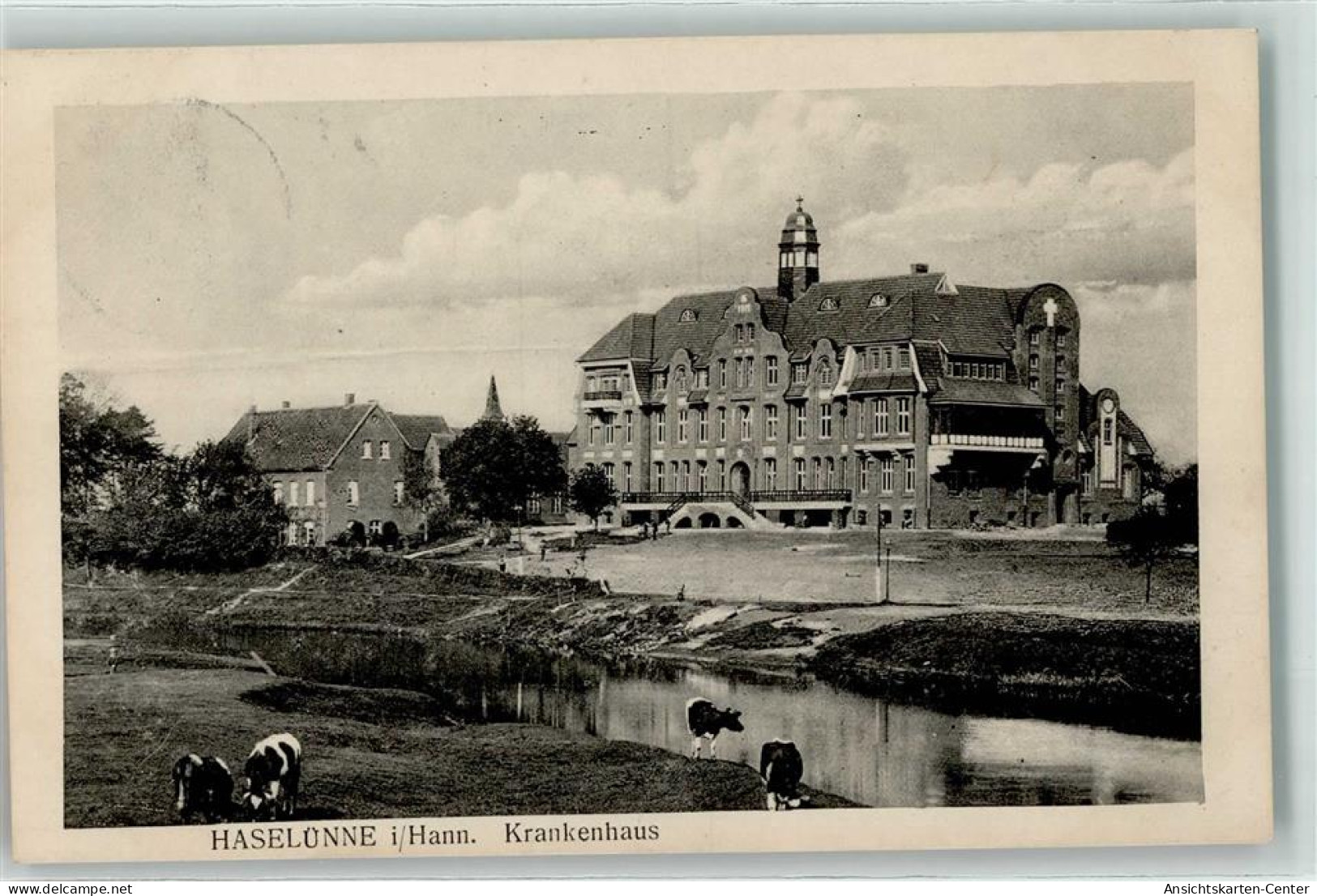 13926122 - Haseluenne