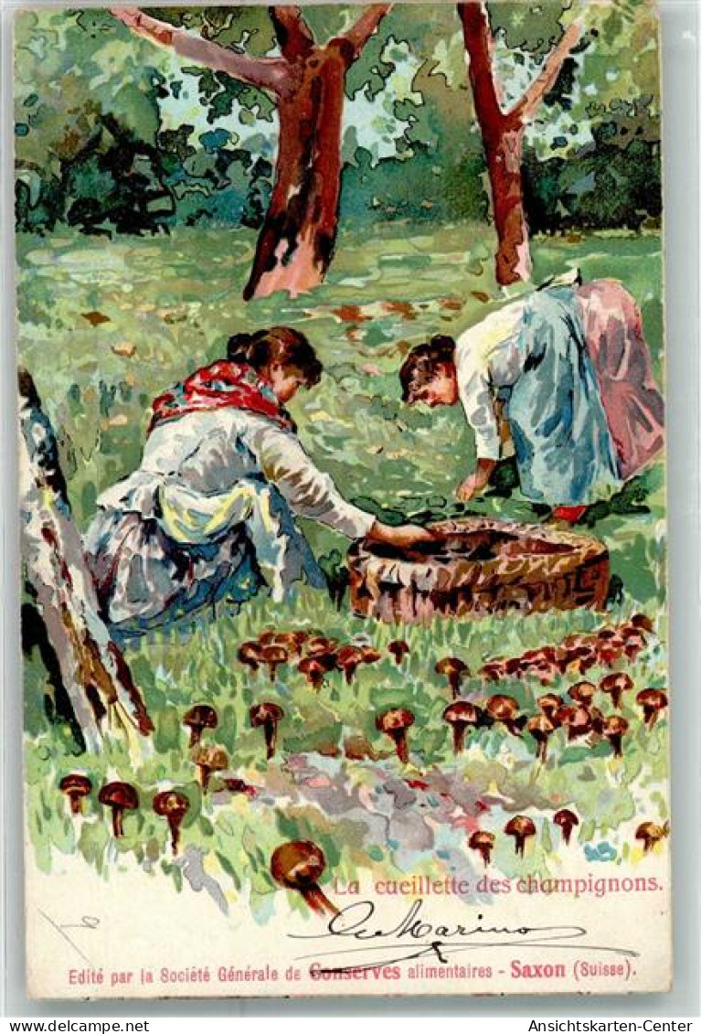 13948146 - Saxon Tovassière