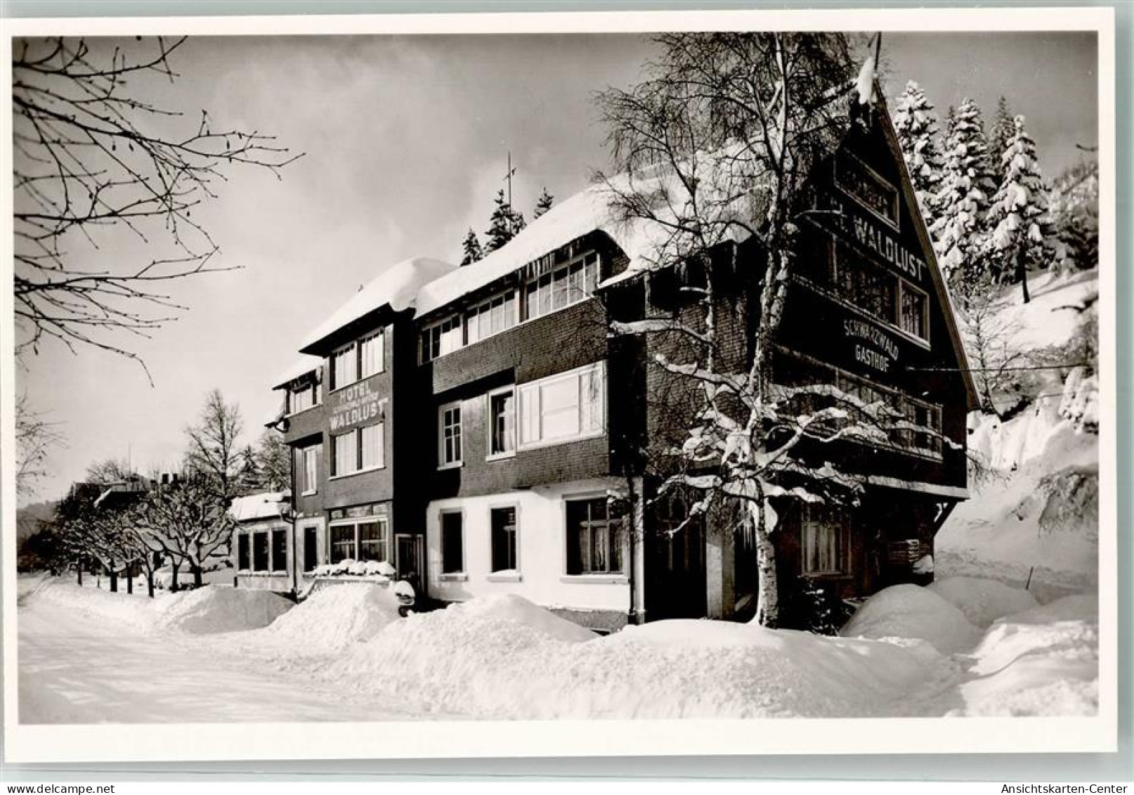 13965002 - Neustadt Titisee-Neustadt