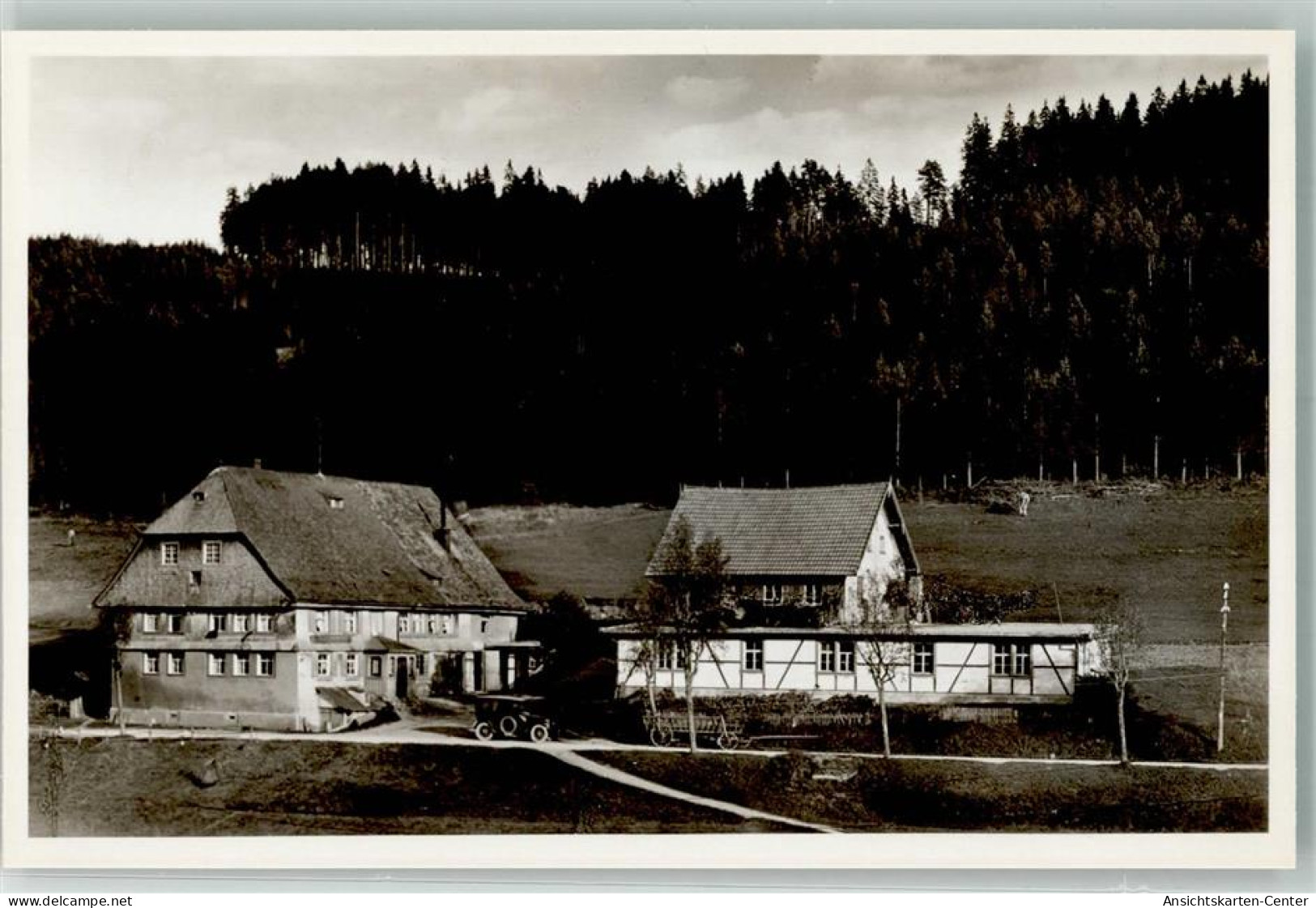 13967489 - Eisenbach Hochschwarzwald