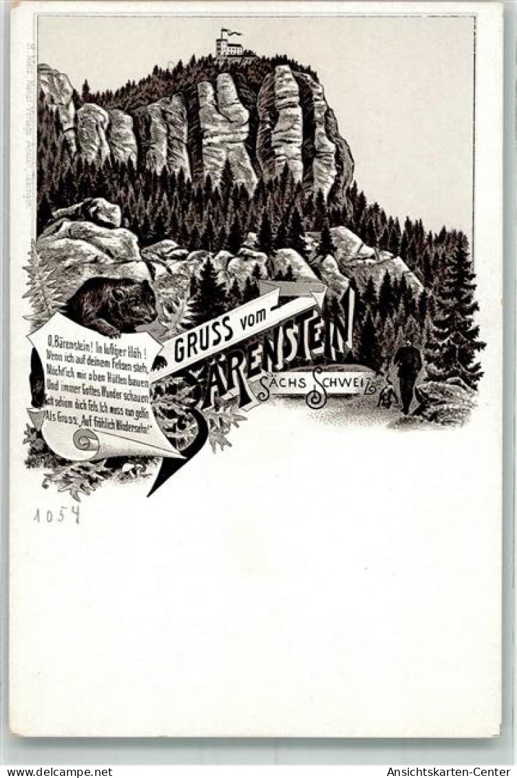 13972055 - Baerenstein