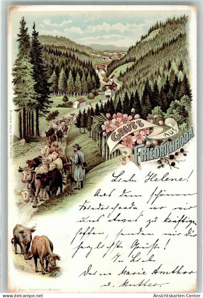 13972083 - Friedrichroda