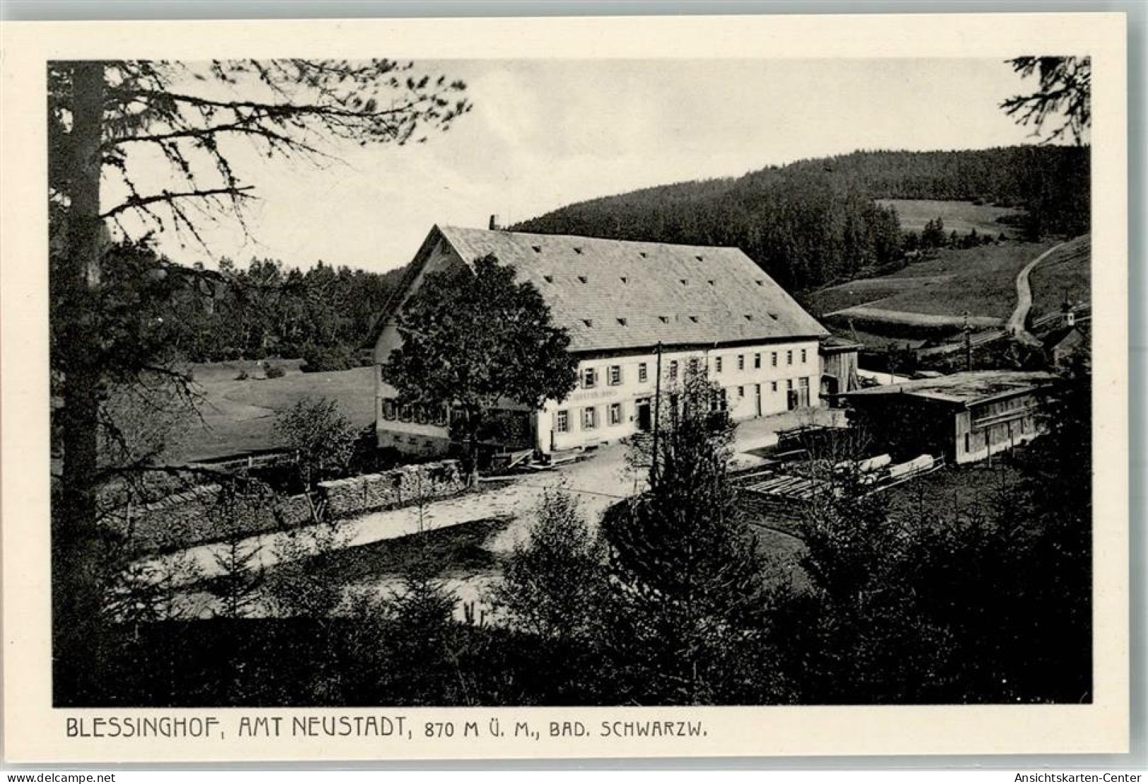 13981313 - Neustadt Titisee-Neustadt