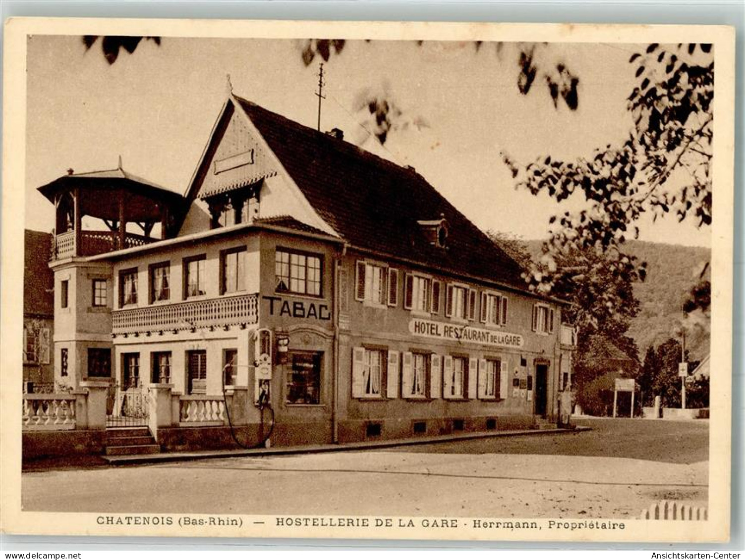 13985166 - Chatenois Kestenholz