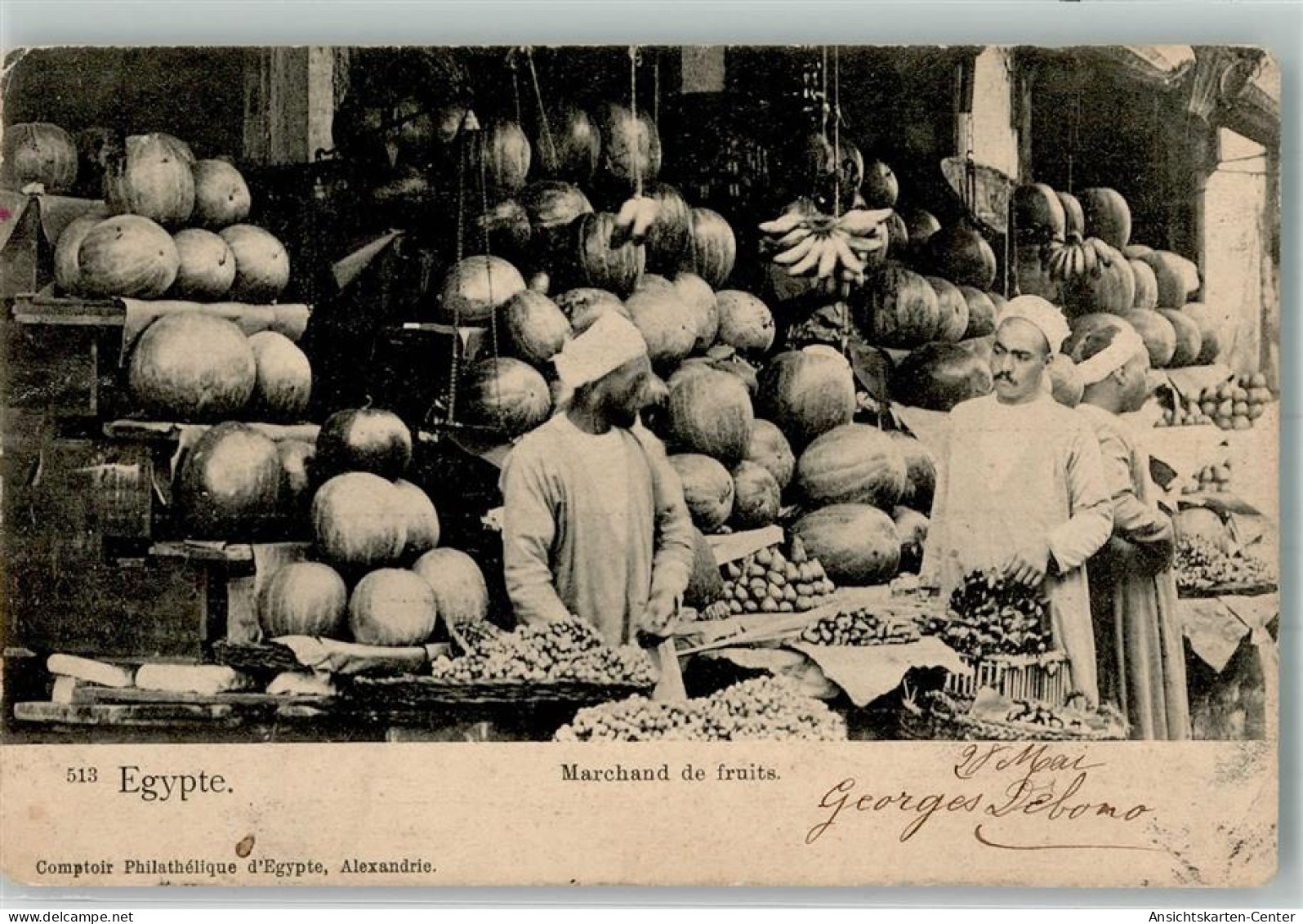 13986718 - Alexandria