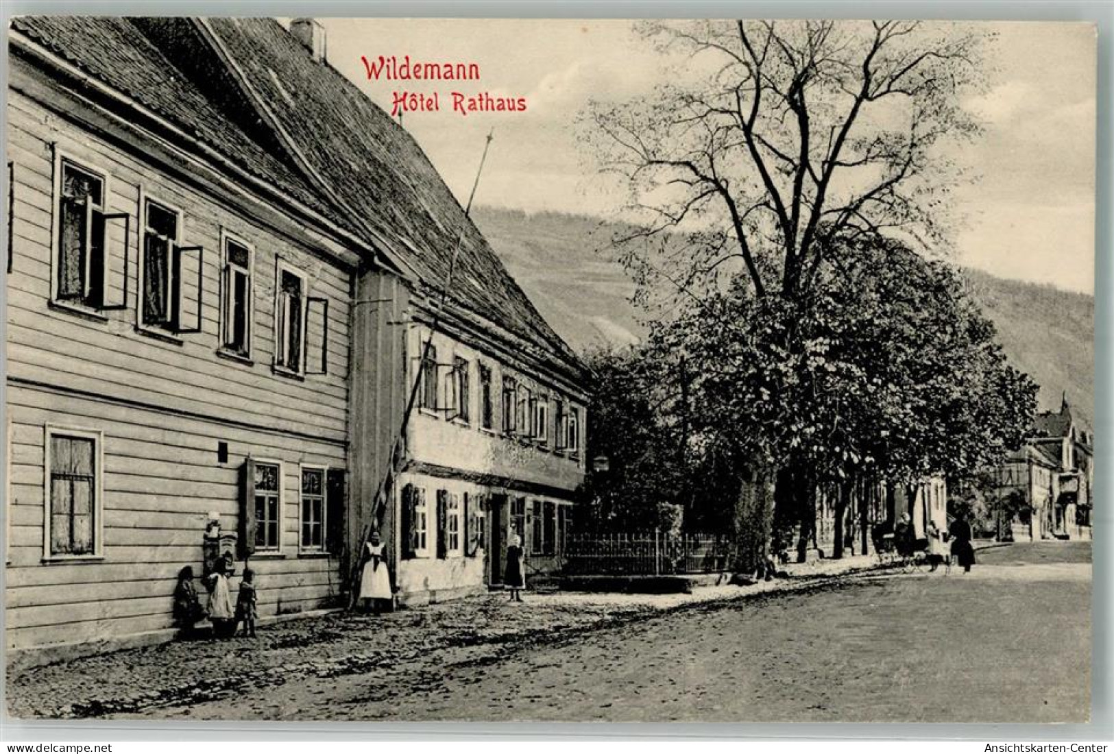 13988995 - Wildemann