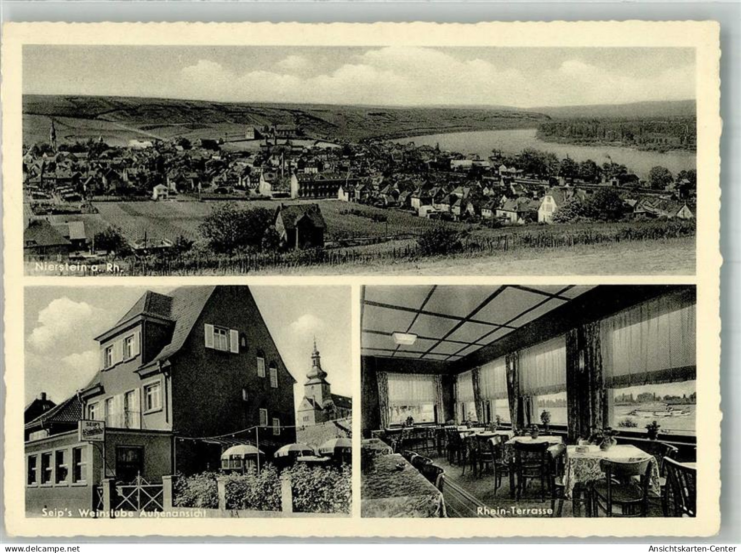 13994774 - Nierstein