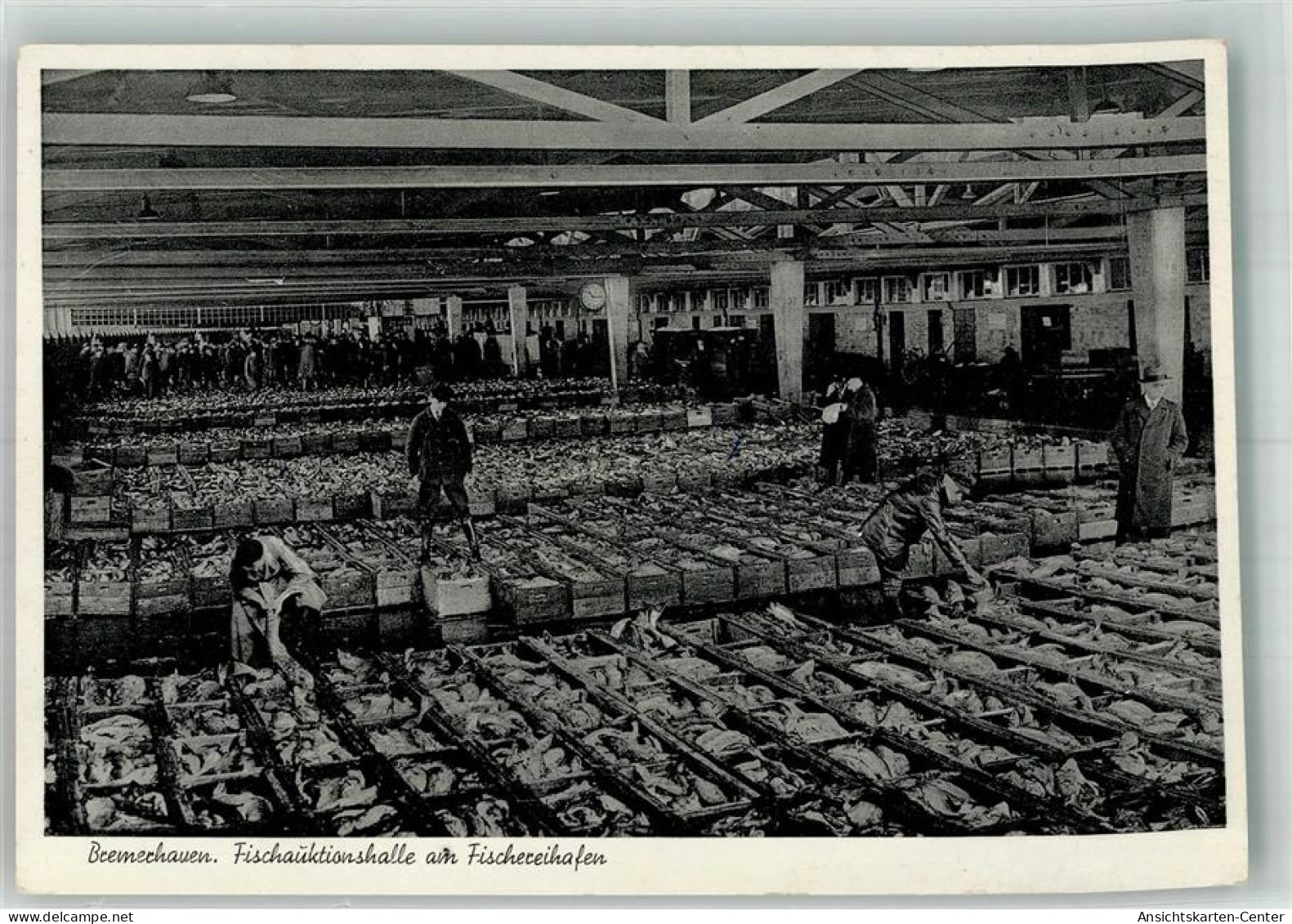 13995968 - Bremerhaven