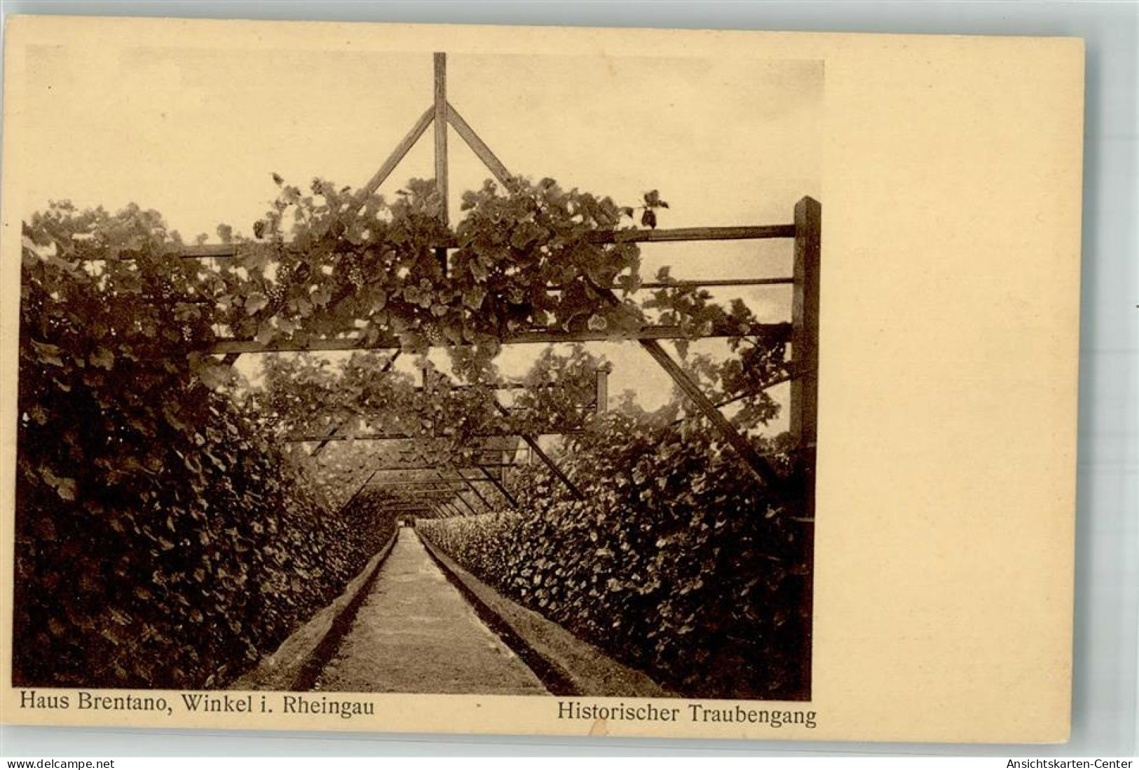 13998908 - Oestrich-Winkel