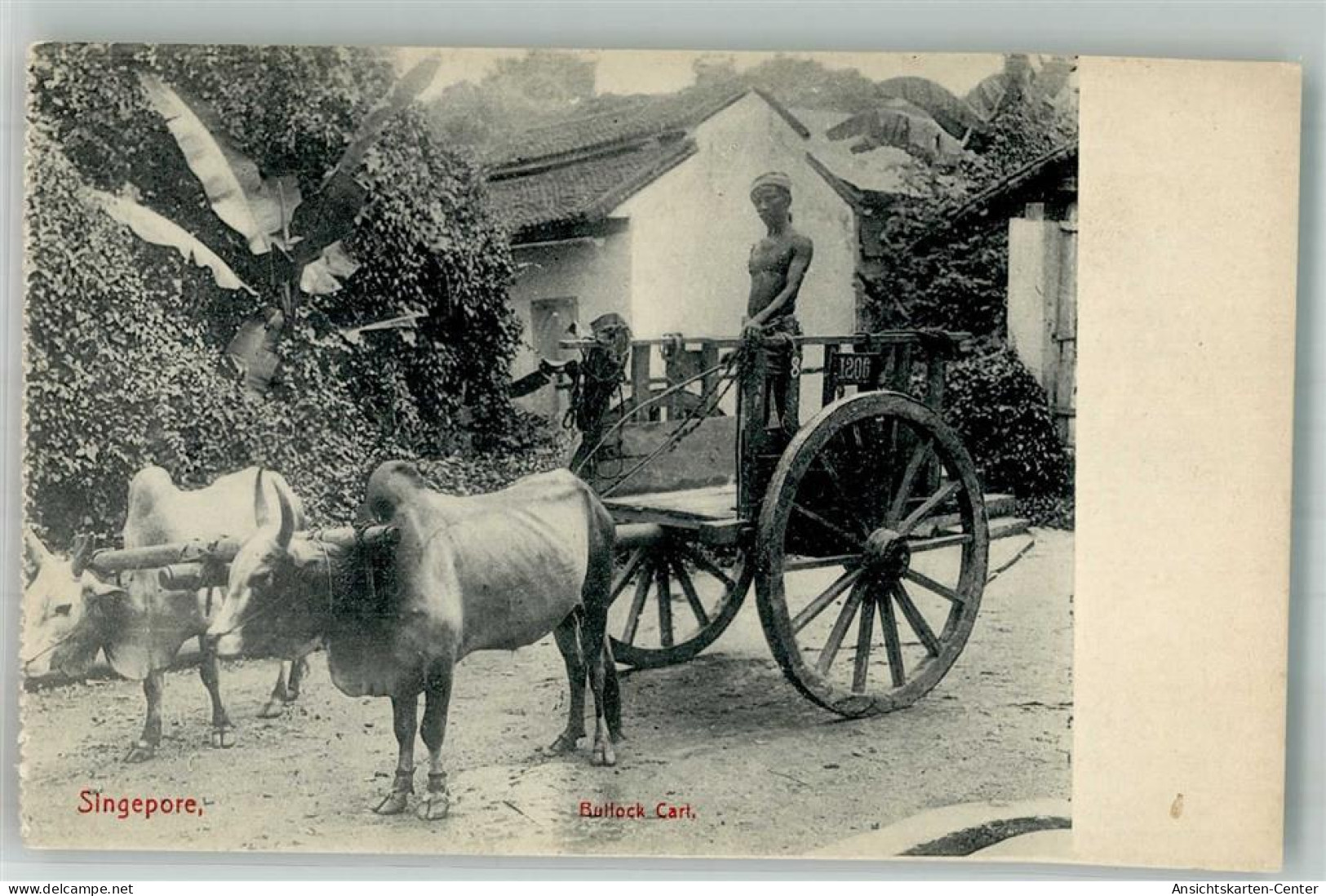 14005288 - Singapore