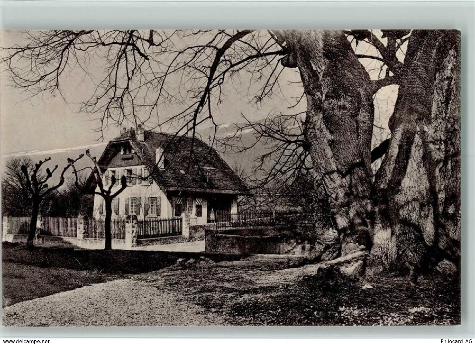 1420 Fiez 1909 - Gasthaus? sehr gute Erhaltung AK - 13097883