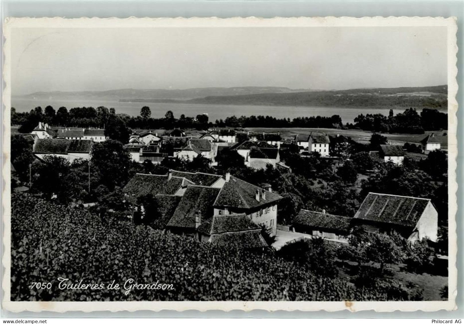 1422 Grandson - 13124738