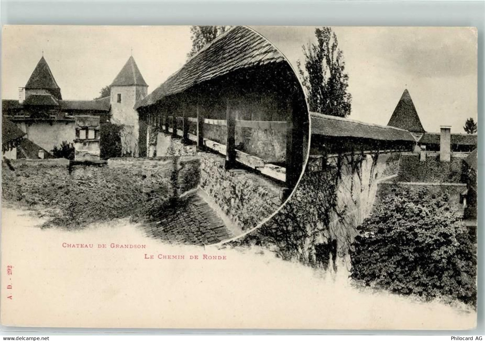 1422 Grandson - Schloss - 10305581