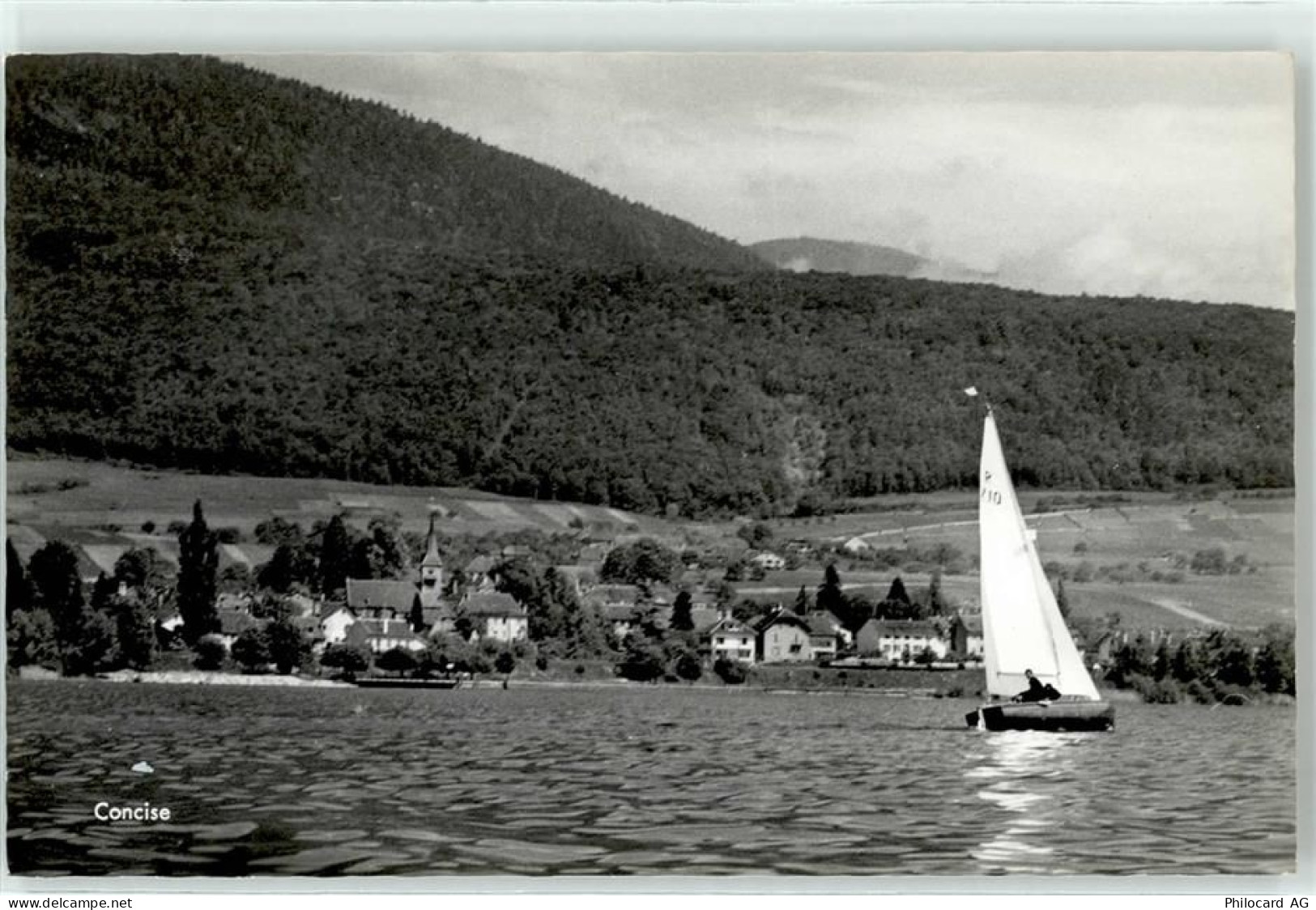 1426 Concise - 51715254