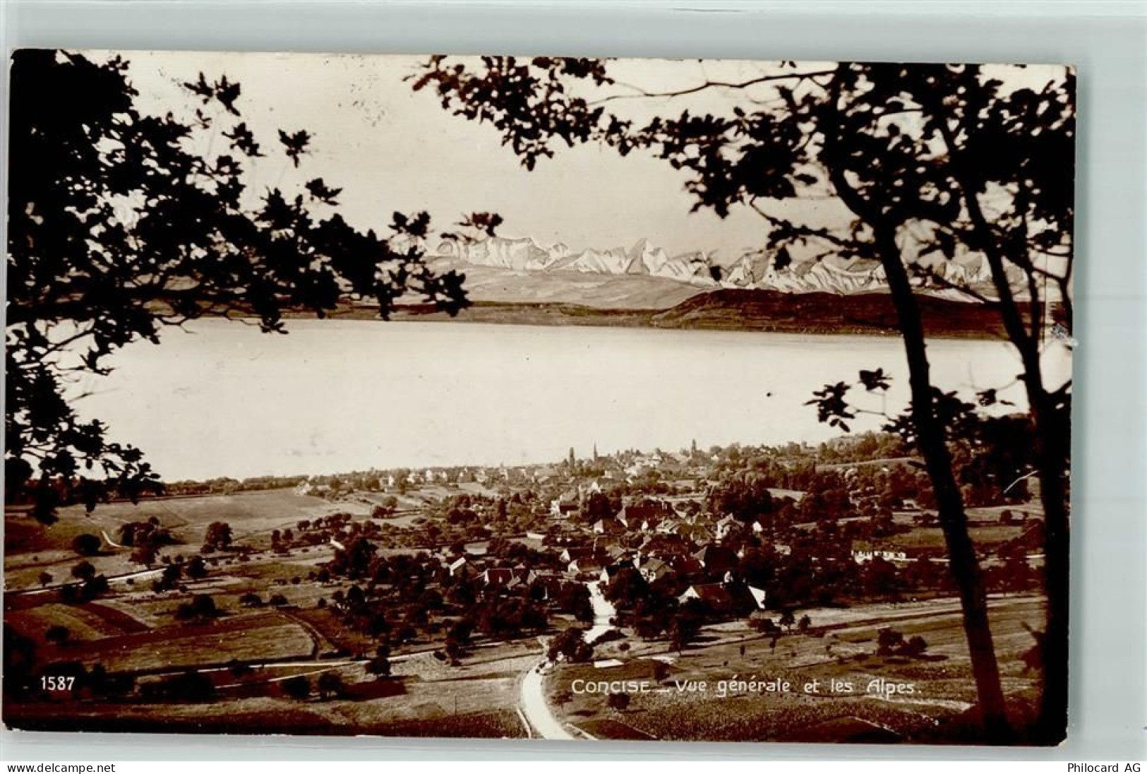1426 Concise - Alpen - 10586369