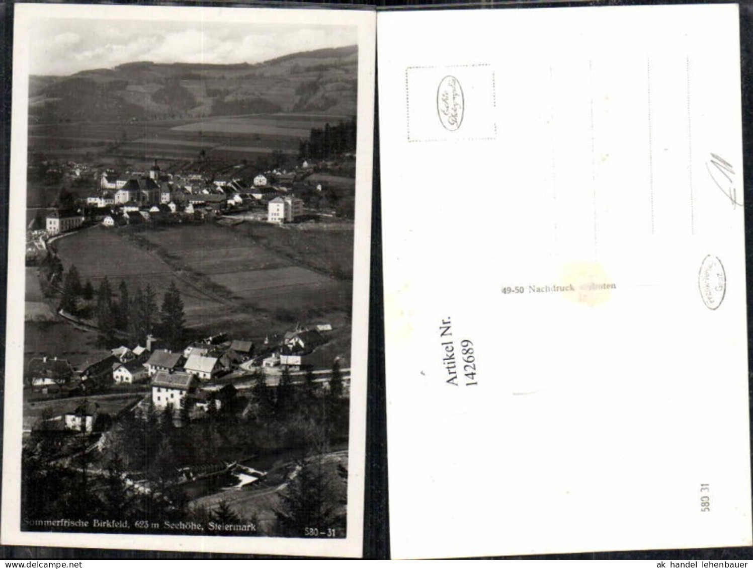 142689,Birkfeld Teilansicht