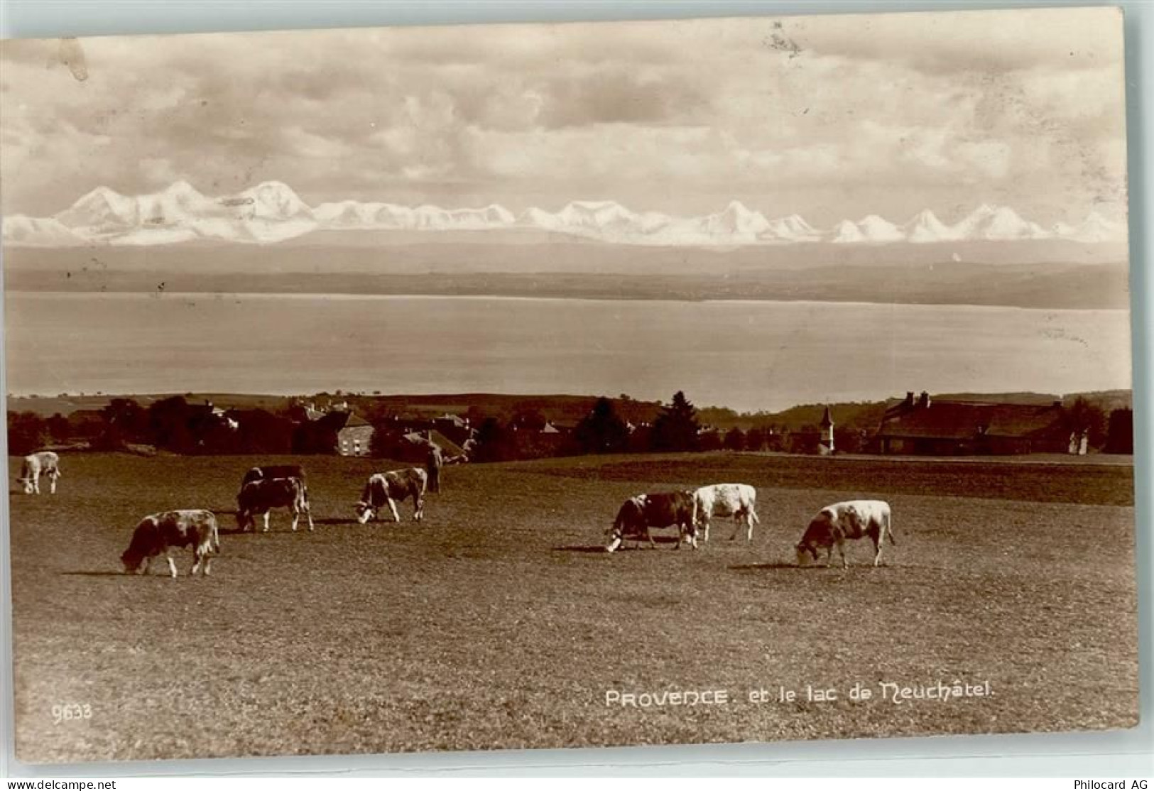 1428 Provence - Neuenburgersee Kuhherde - 10611510