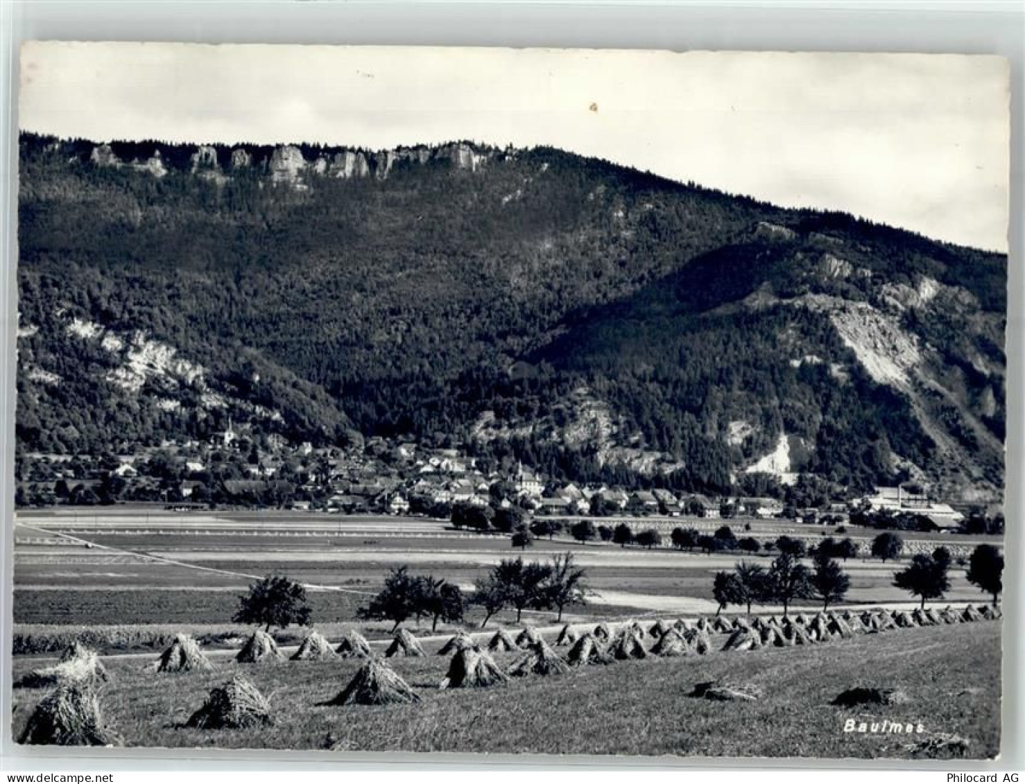 1446 Baulmes - 51796954
