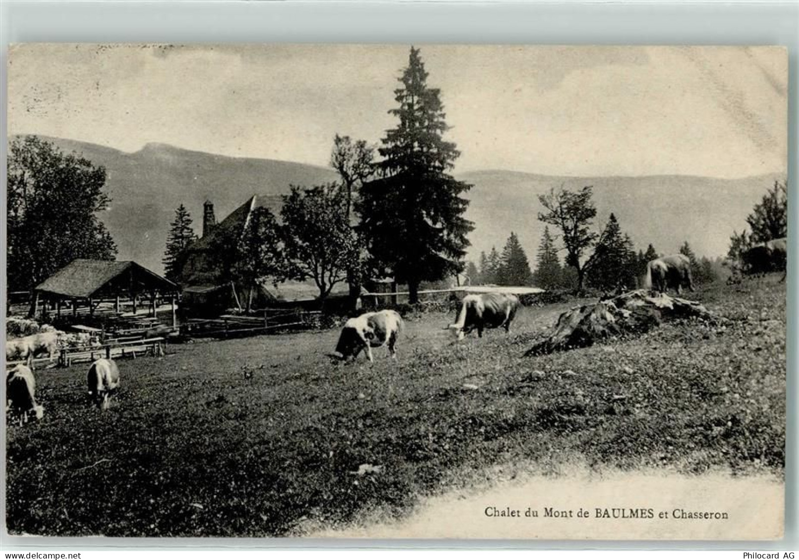 1446 Baulmes Gebrauchsspuren Chalet du Chasseron Mont de Baulmes - 10605931