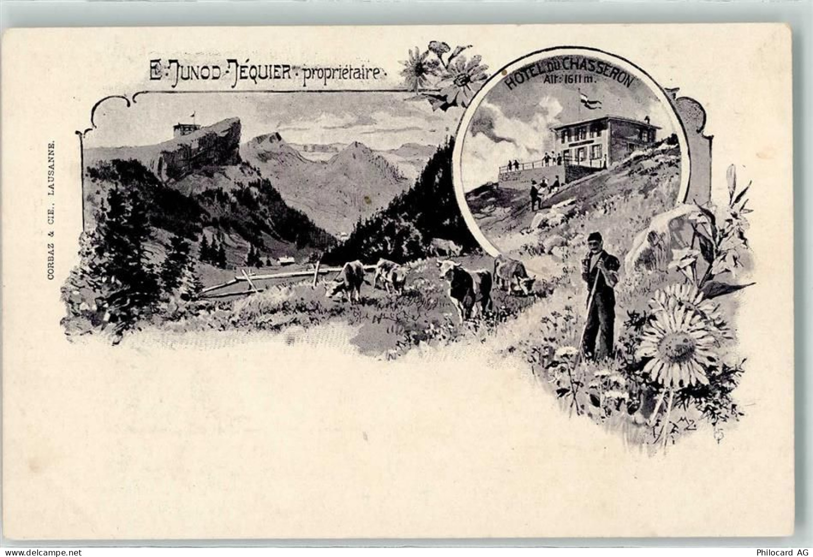 1453 Bullet - Hotel du Chasseron Kühe Senner - 13251927