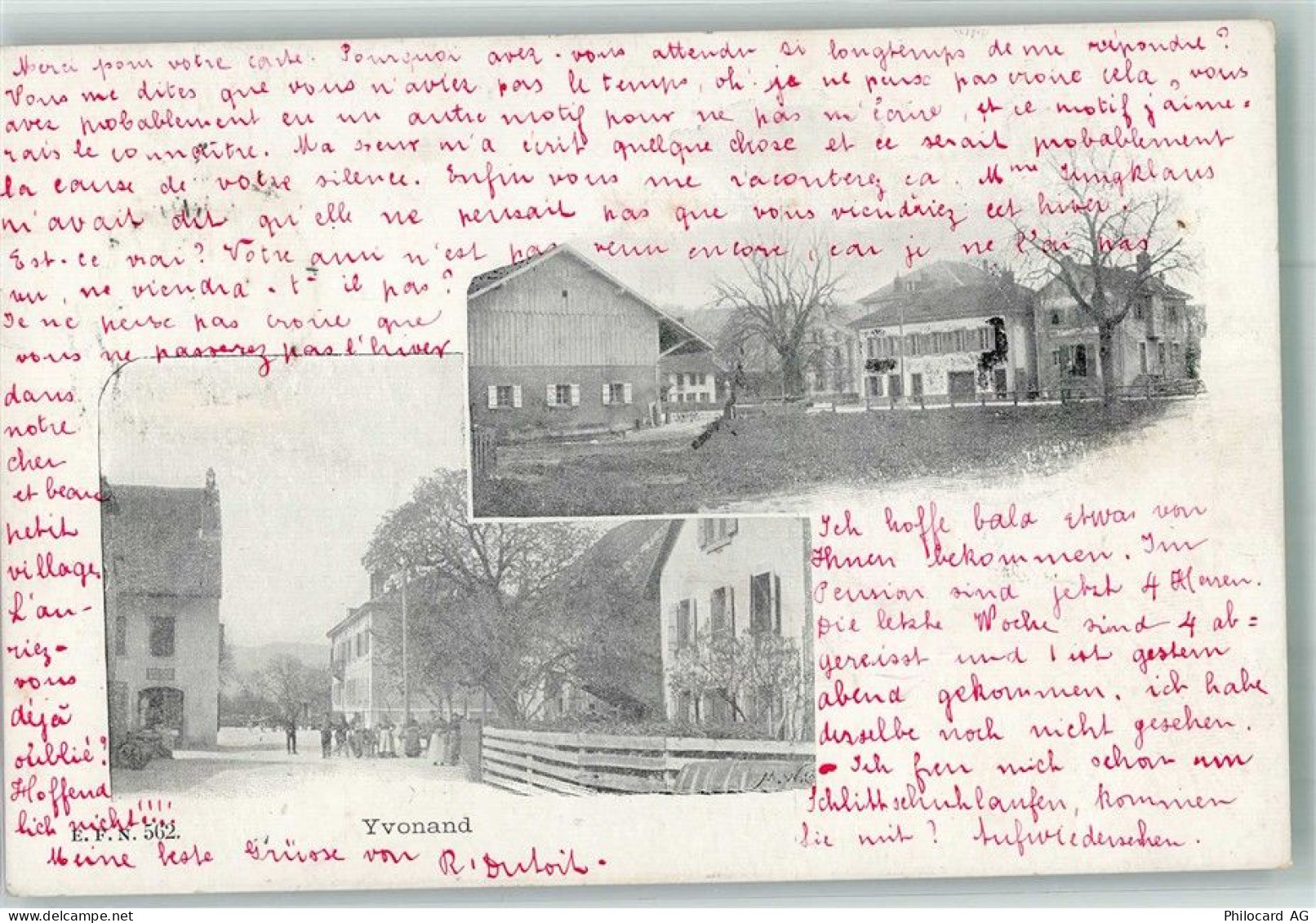 1462 Yvonand 1902 Foto AK - 13597501