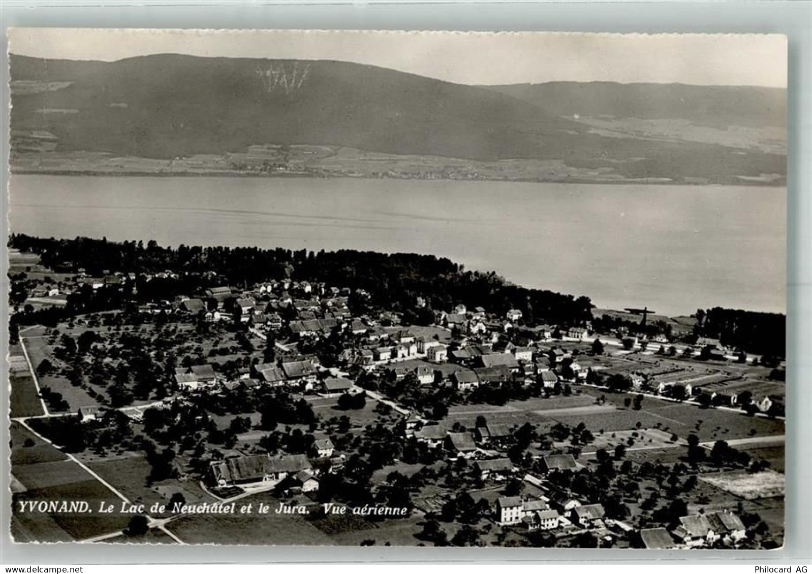 1462 Yvonand 1954 Foto AK Fliegeraufnahme - 38194289