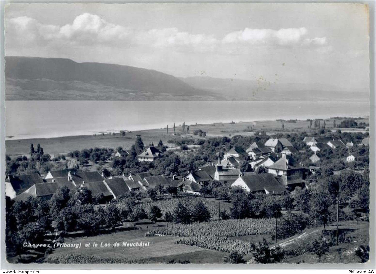 1468 Cheyres - Lac de Neuchatel - 51796938