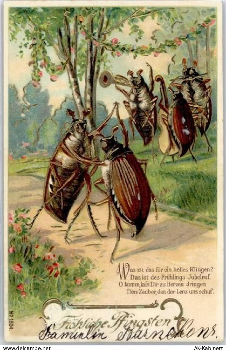 14929 O1702 Treuenbrietzen 1903 Prägedruck - 51588844