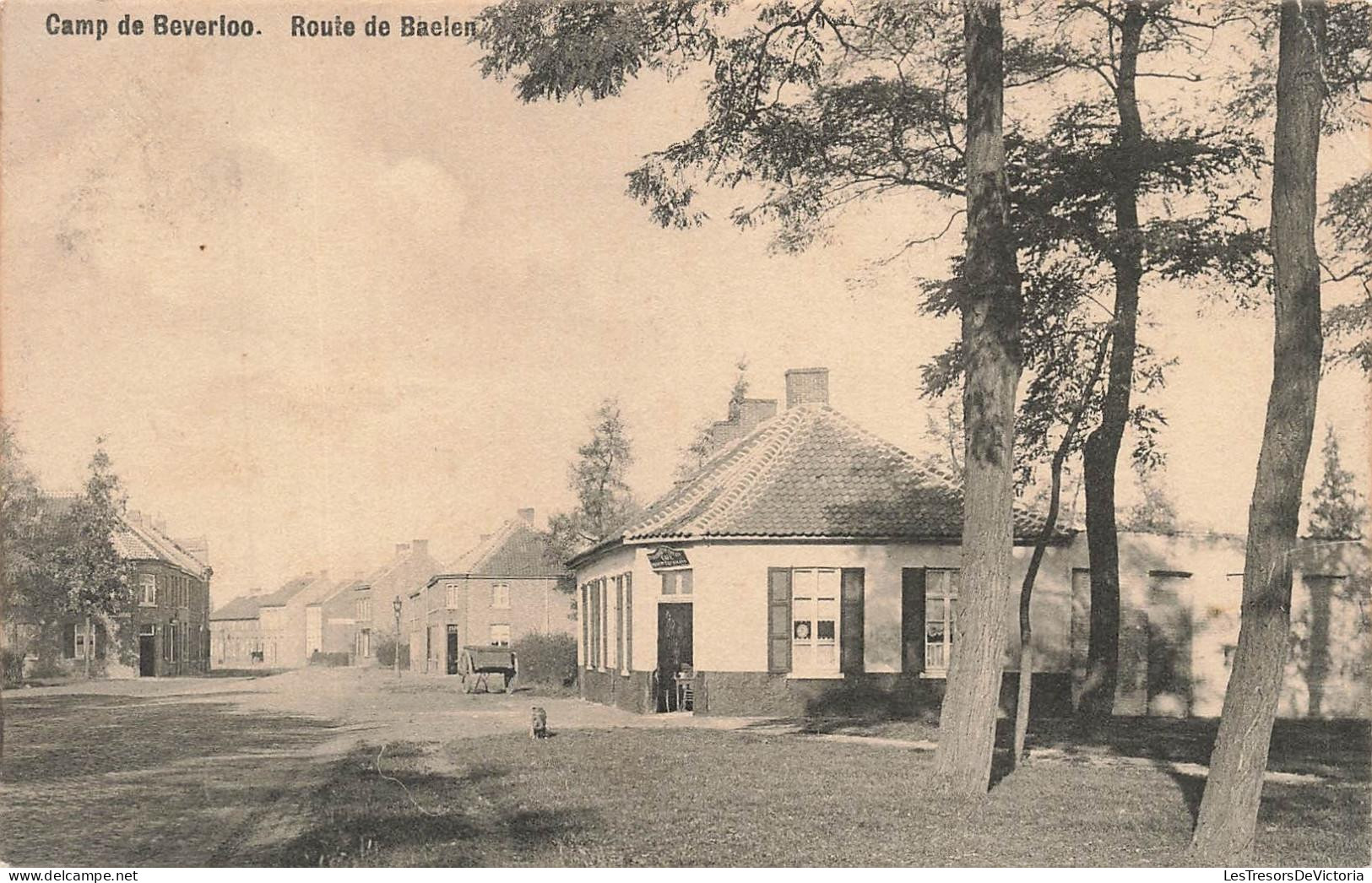 [-15%] BELGIQUE - Camp de Beverloo - Route de Baelen - maison - arbre - toit - A