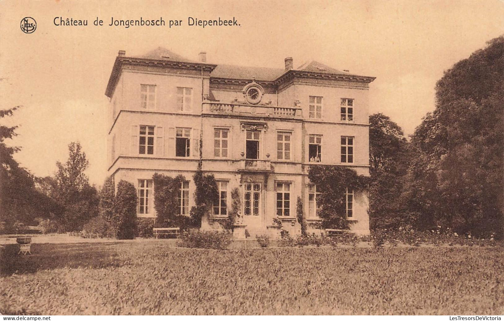 [-15%] BELGIQUE - Diepenbeek - Château de Jogenbosch - Bâtiment - Façade - Cour - E Ceysens - Nels - Carte postale ancie