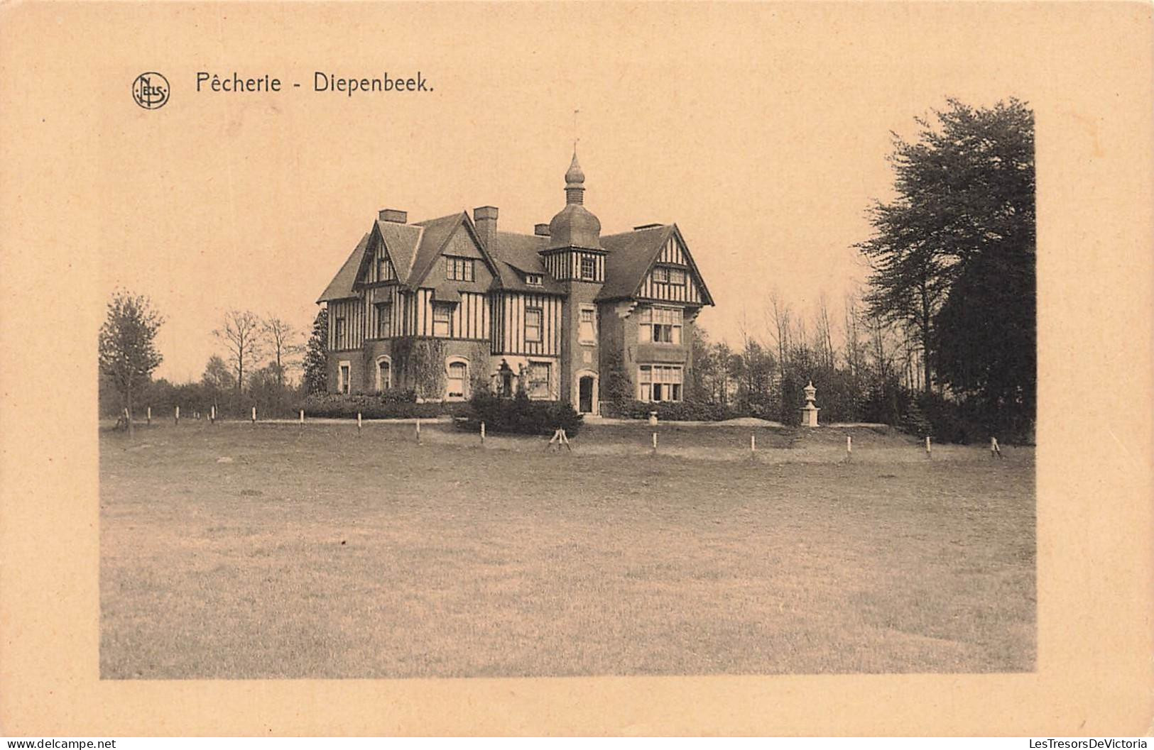 [-15%] BELGIQUE - Diepenbeek - Pêcherie - Bâtiment - Cour - Monument - Façade - Jardin - Bois - Nels - Carte postale anc