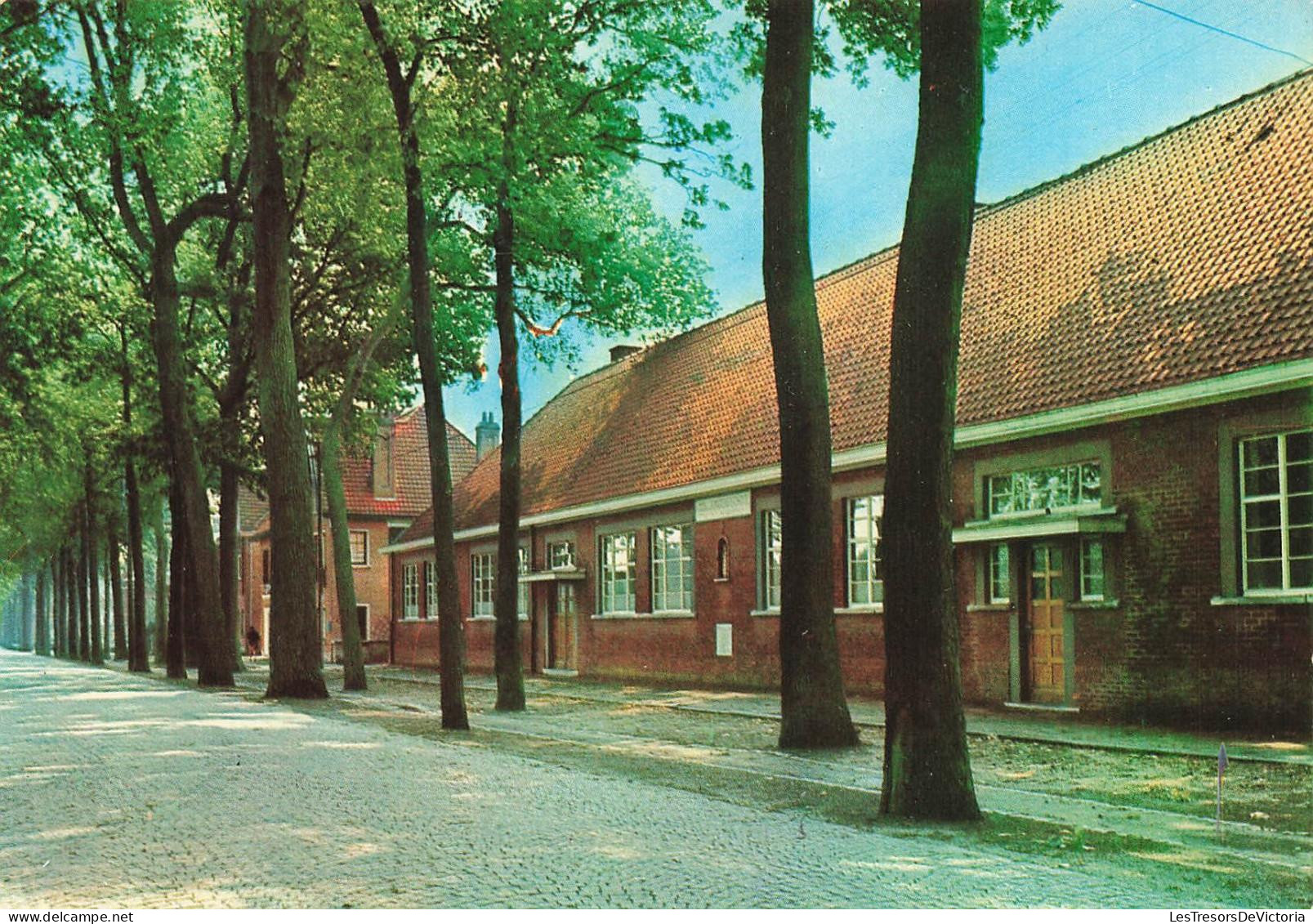 [-15%] BELGIQUE - Lovendegem - Jongensschool - Kasteeldreef - Ecole de garçons - Allée - Bâtiment - Carte postale