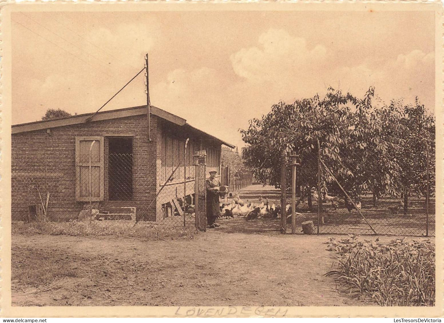 [-15%] BELGIQUE - Lovendegem - Sœurs de la Charité de Lovendegem - Poulailler - Paysan - Carte postale ancienne