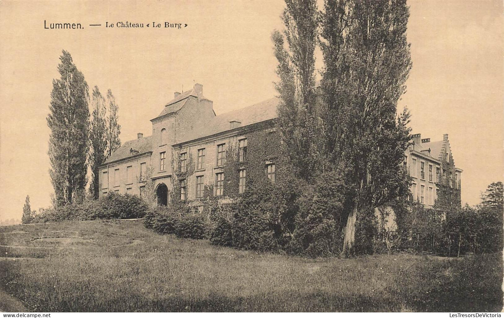 [-15%] BELGIQUE - Lummen - Le Château Le Burg - plante grimpante - Seigneurie de