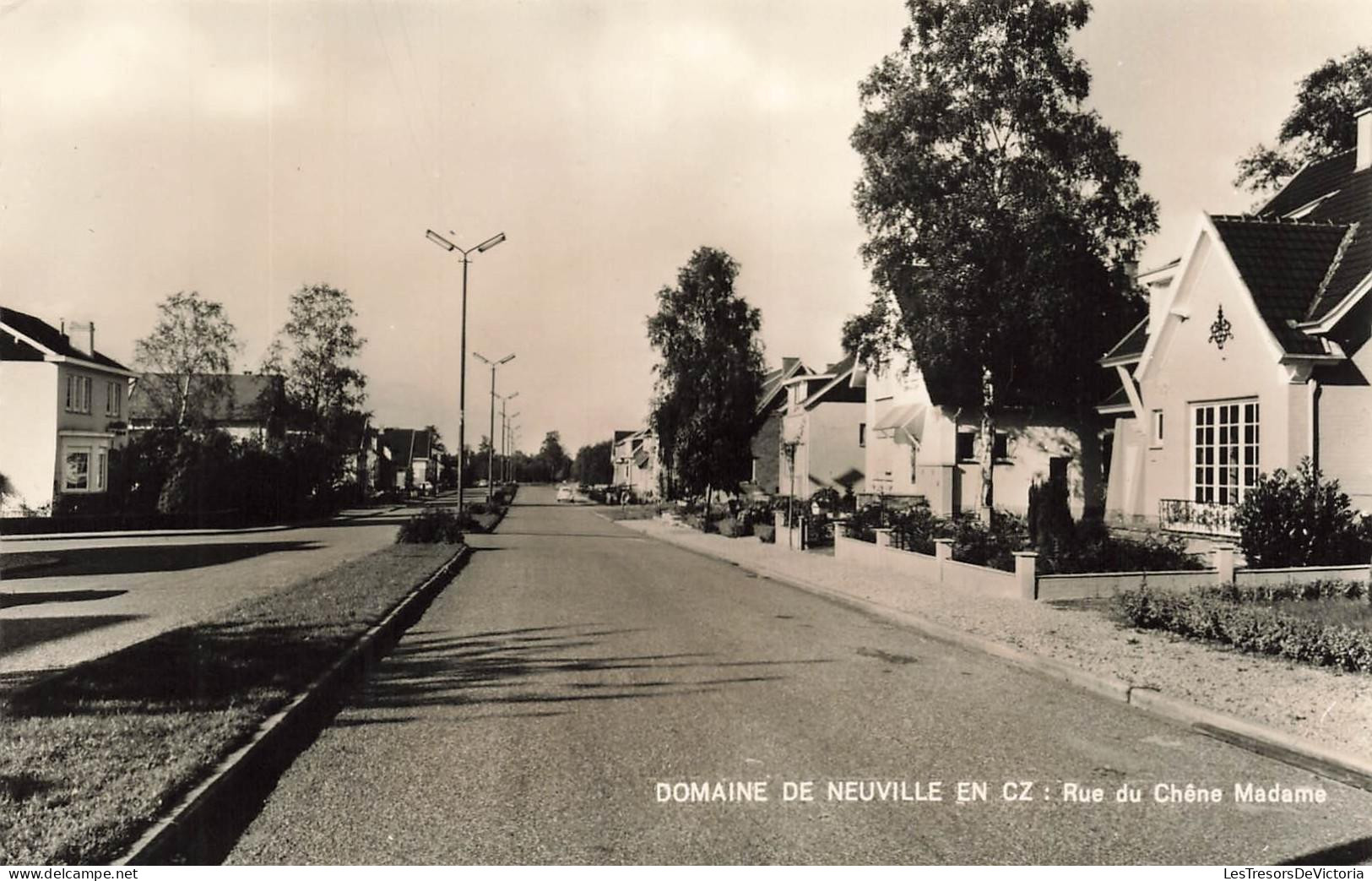 [-15%] BELGIQUE - Neupré - Domaine De Neuville En Cz - Rue du Chêne Madame - Carte postale