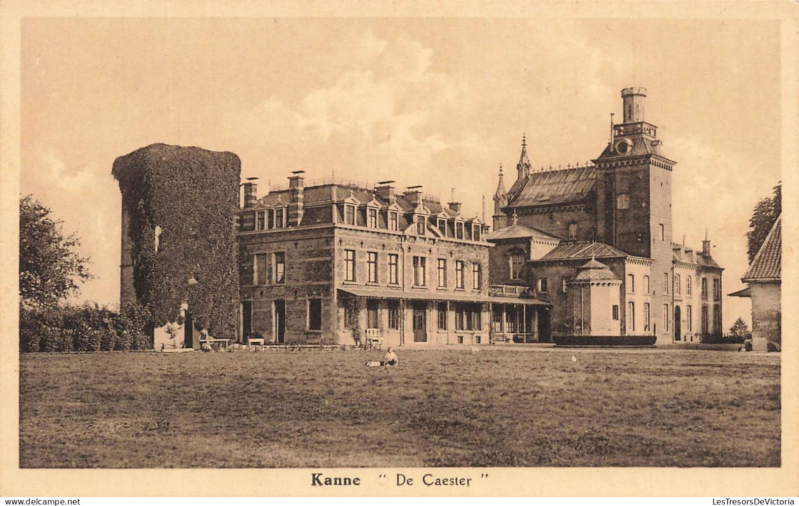 [-15%] BELGIQUE - Riemst - Kanne - De Caester - Centraal - Vue générale - Carte postale ancienne