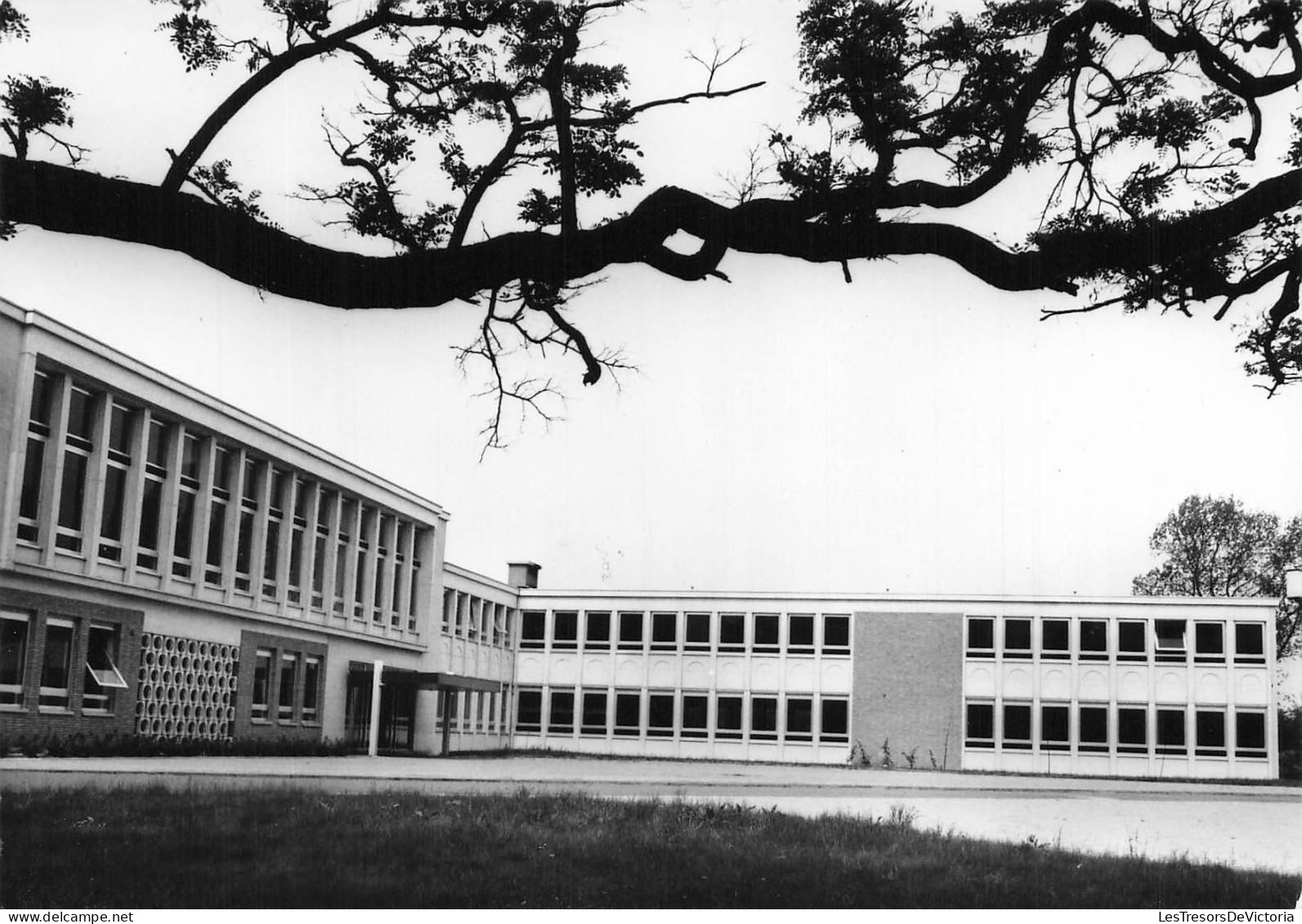 [-15%] BELGIQUE - Zonhoven - Gemeentehuis - Maison communale - Cour - Etablissement - Carte postale