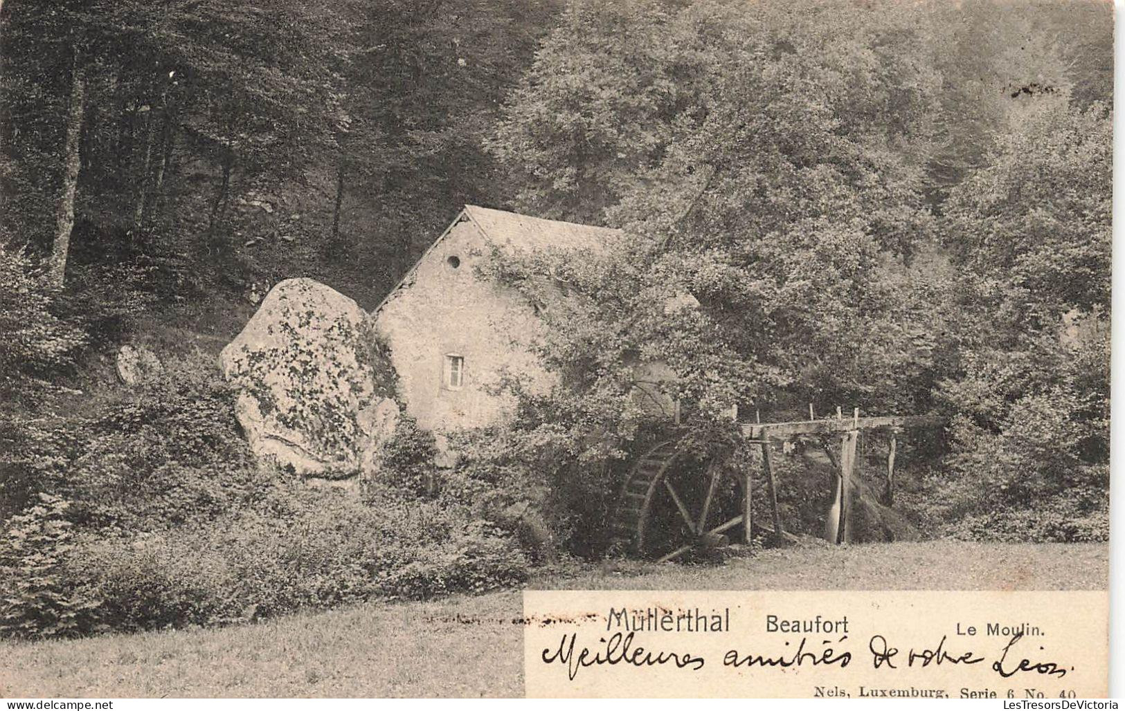 [-15%] LUXEMBOURG - Muellerthal - Beaufort - Le moulin - bois - forêt - roue - rocher - Ed Nels - 1906 - Carte postale a