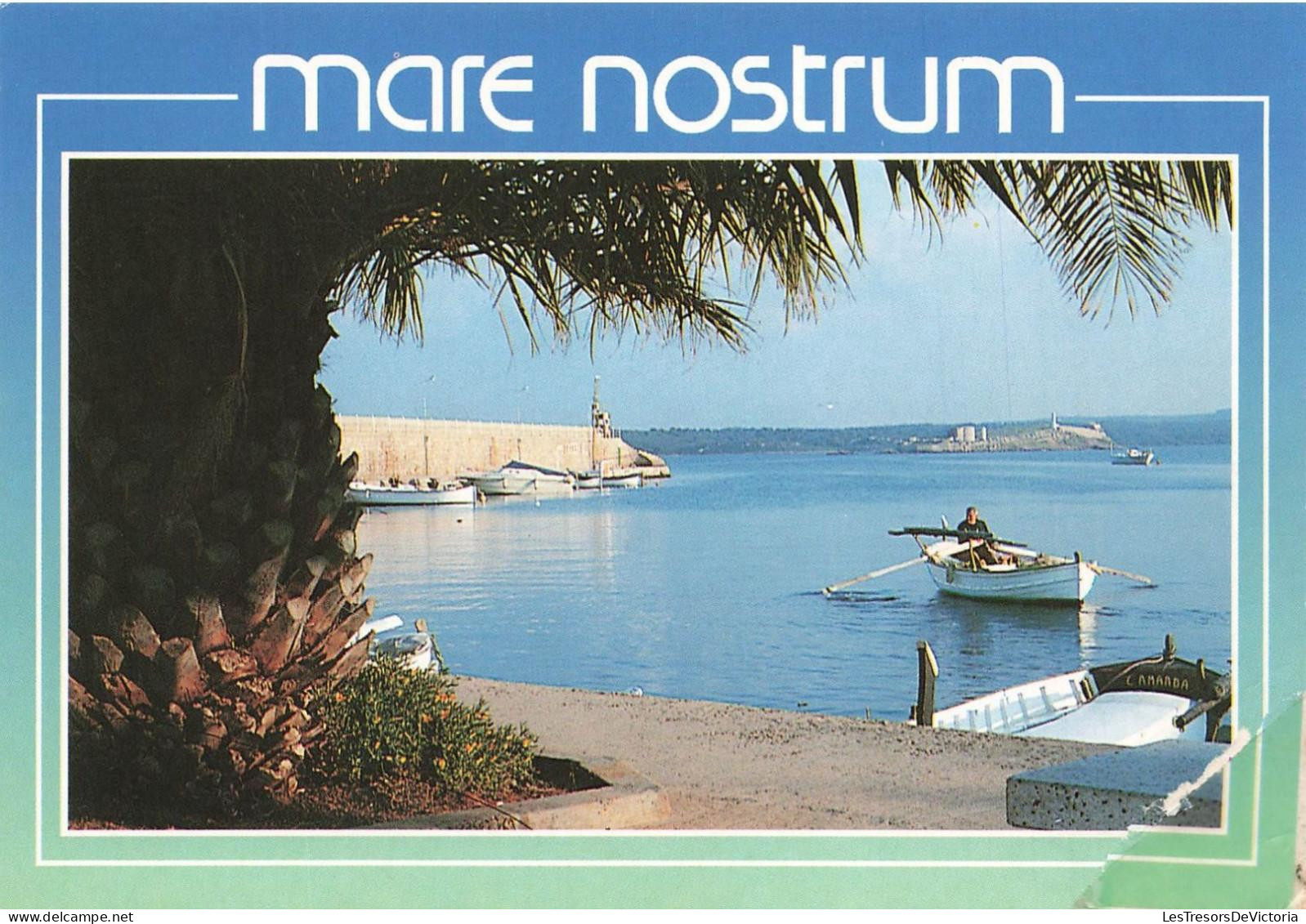 [-15%] MONDE - Mare Nostrum - Carte Postale Récente